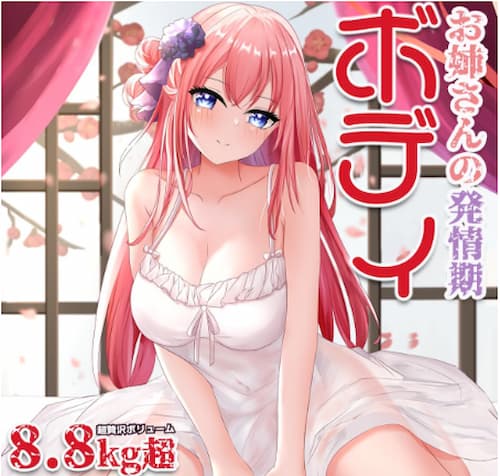 口コミで人気のおすすめ等身大・据え置き型オナホ「お姉さんの発情期ボディ」のパッケージ画像。