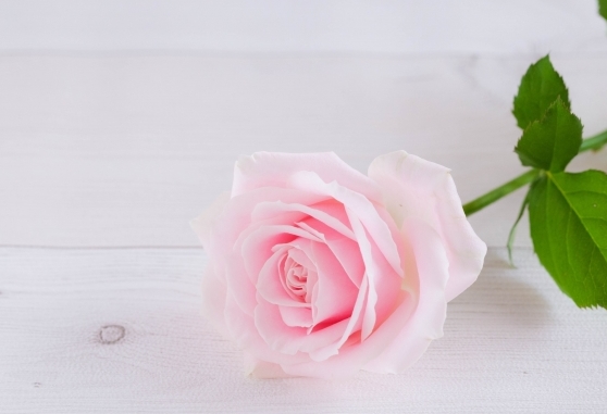 神奈川・本厚木でおすすめの大手チャットレディ事務所「CHATSTYLE本厚木店」の店内写真。